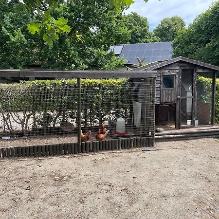 Completely Renovated Back Part Of A Farm Villa Uden Bagian luar foto